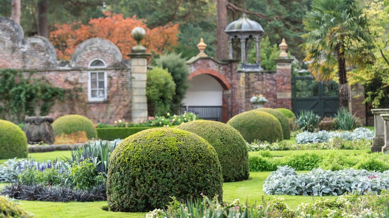 Autumn colours in the Parterre in Erddig’s garden.